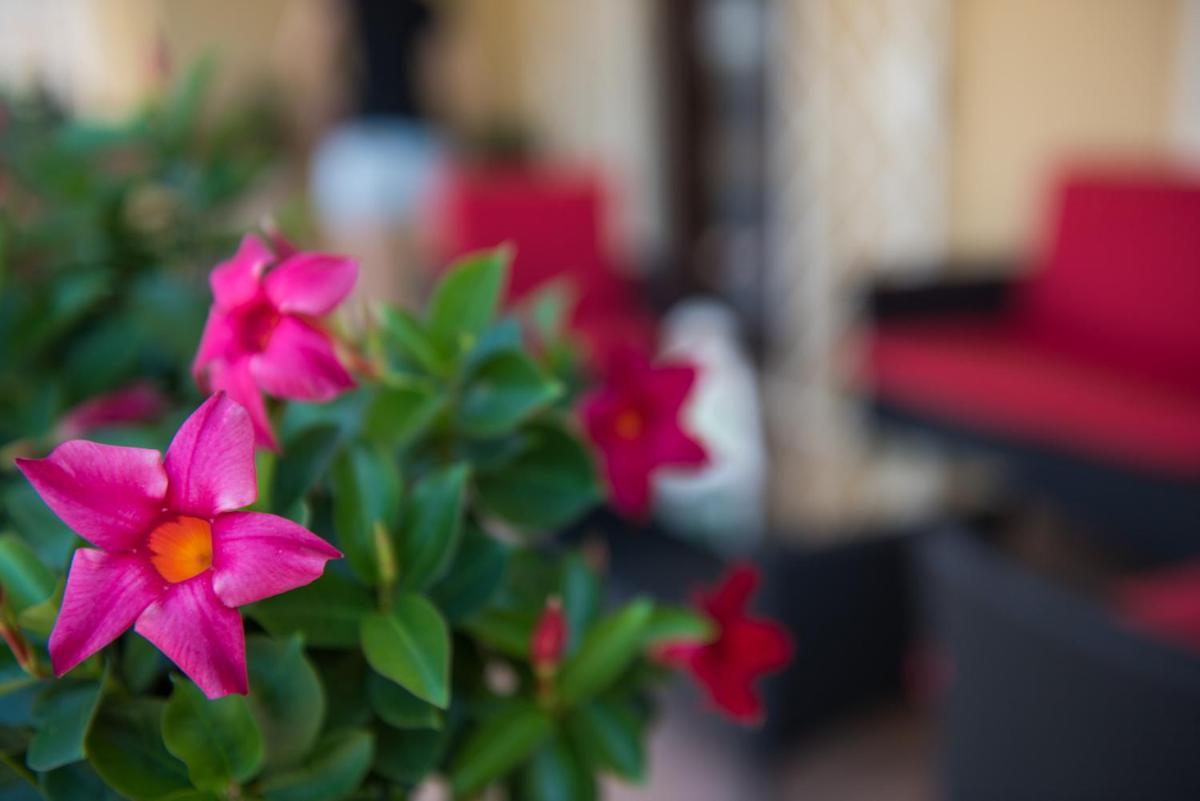Kibari B&B Bagian luar foto
